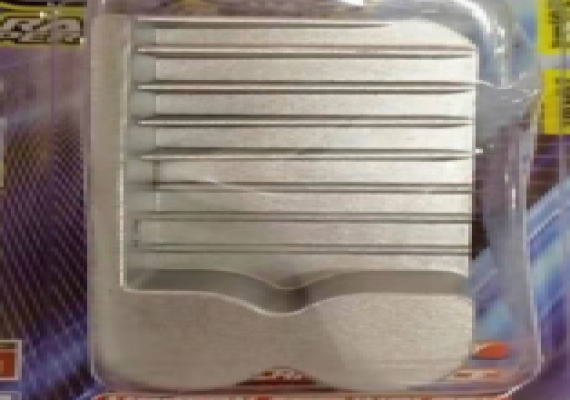 RAIDER 150 F1